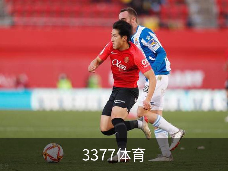 关于3377体育